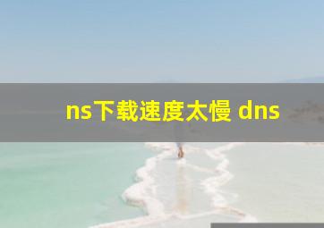 ns下载速度太慢 dns